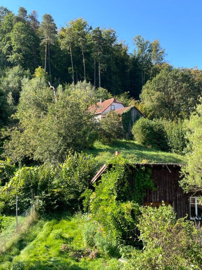 Mon Refuge En Vasgovie Lägenhet Meisenthal Exteriör bild