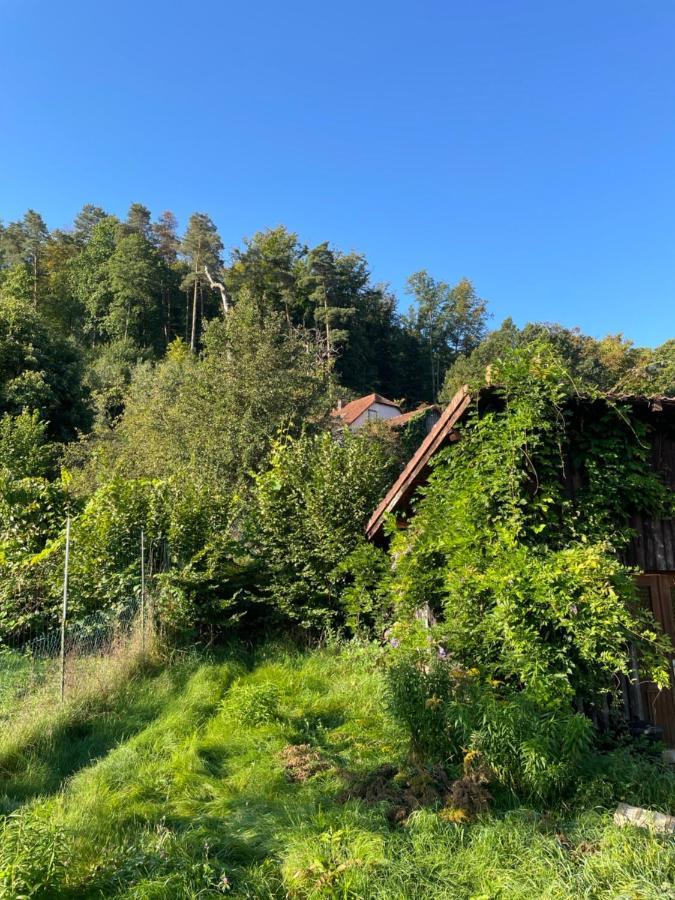 Mon Refuge En Vasgovie Lägenhet Meisenthal Exteriör bild